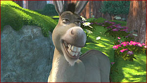 donkeyshrek