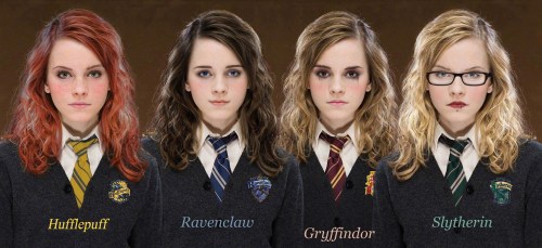 hermione houses