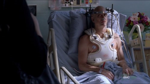 ted beneke breaking bad season 5 copy