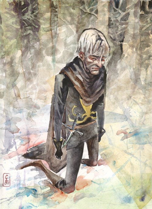 adwd_the_turncloak_by_cabepfir-d4dsgfl