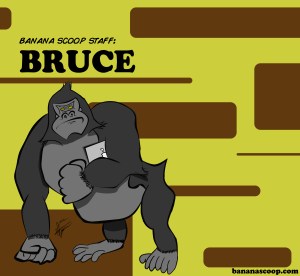 BRUCE 2.0 FINALE